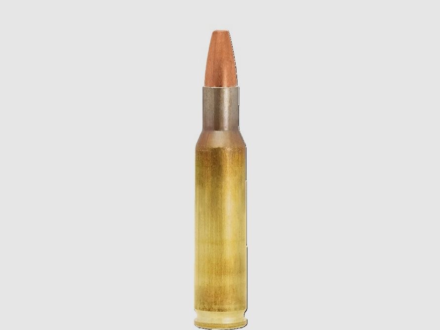 LAPUA-.222 Rem-Solid-Naturalis-50GR-M20600, image 2 sur 2