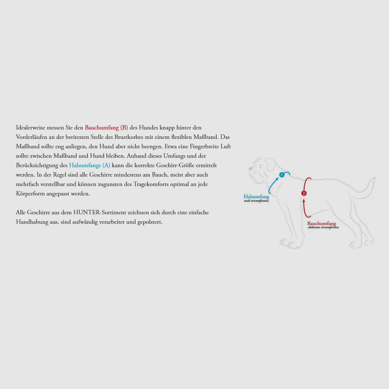 HUNTER Norwegergeschirr Ranger