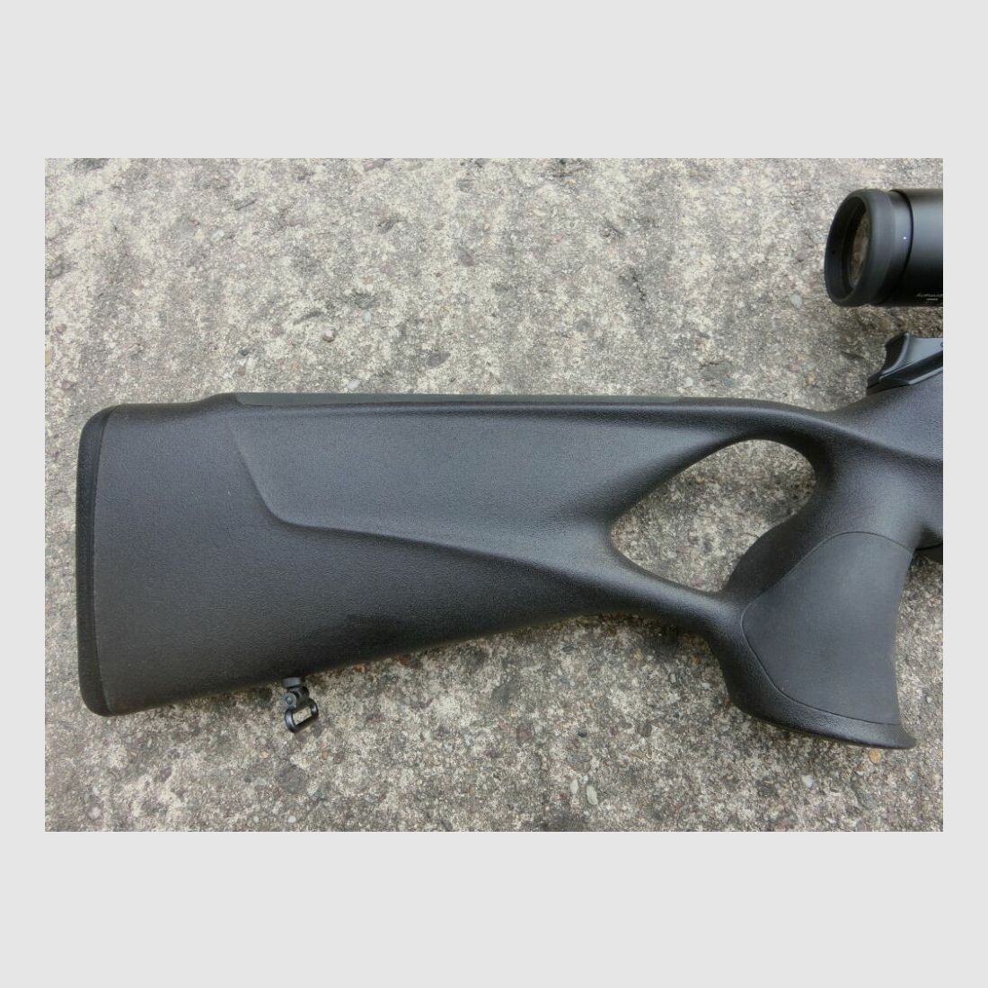 Blaser R8 Prof.Success