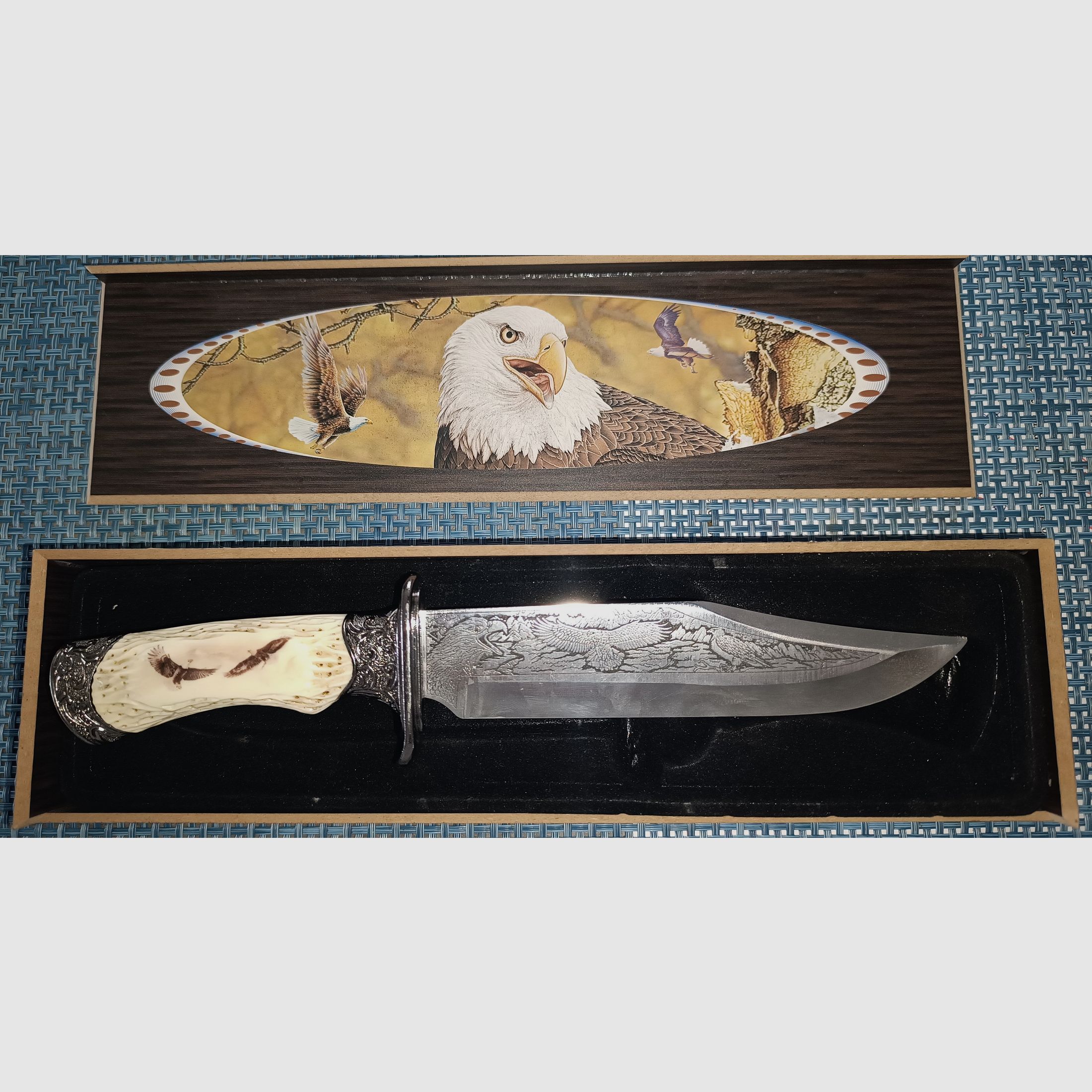 Bowie, chasse, couteaux vitrine