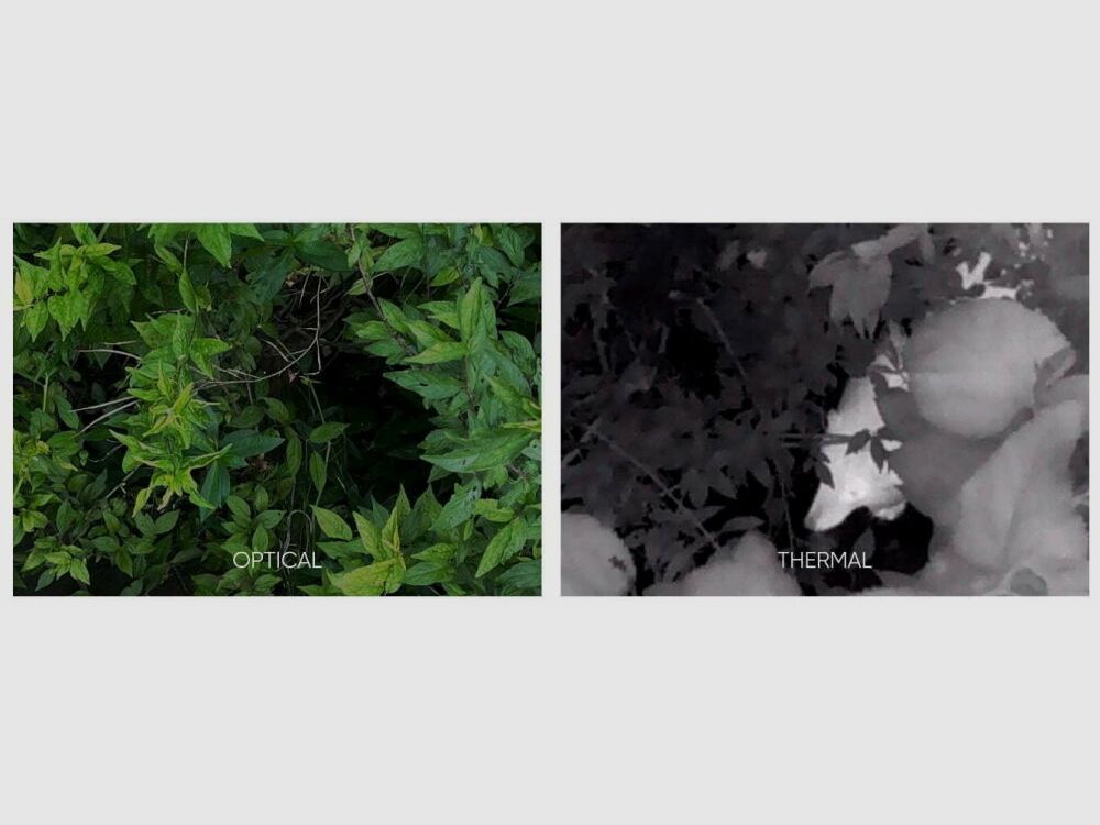 HIKMICRO Falcon FQ25