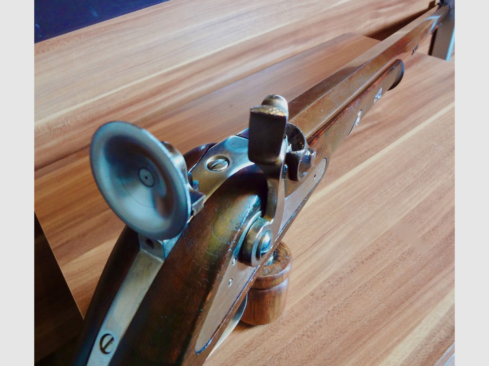 Match muzzle-loading rifle Palmetto Waadländer in caliber .45.
