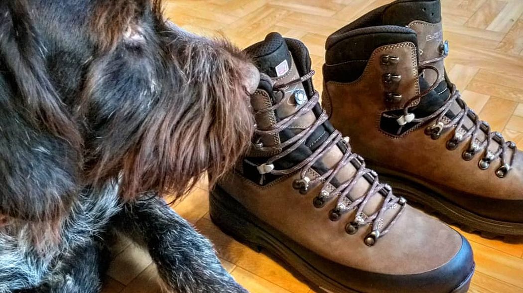 LOWA Tibet GTX - Zuverlässiger Begleiter im Revier