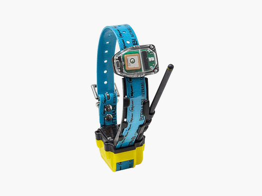 BITRABI – MITO 5300 COLLAR COMBI RADIO GPS + GSM