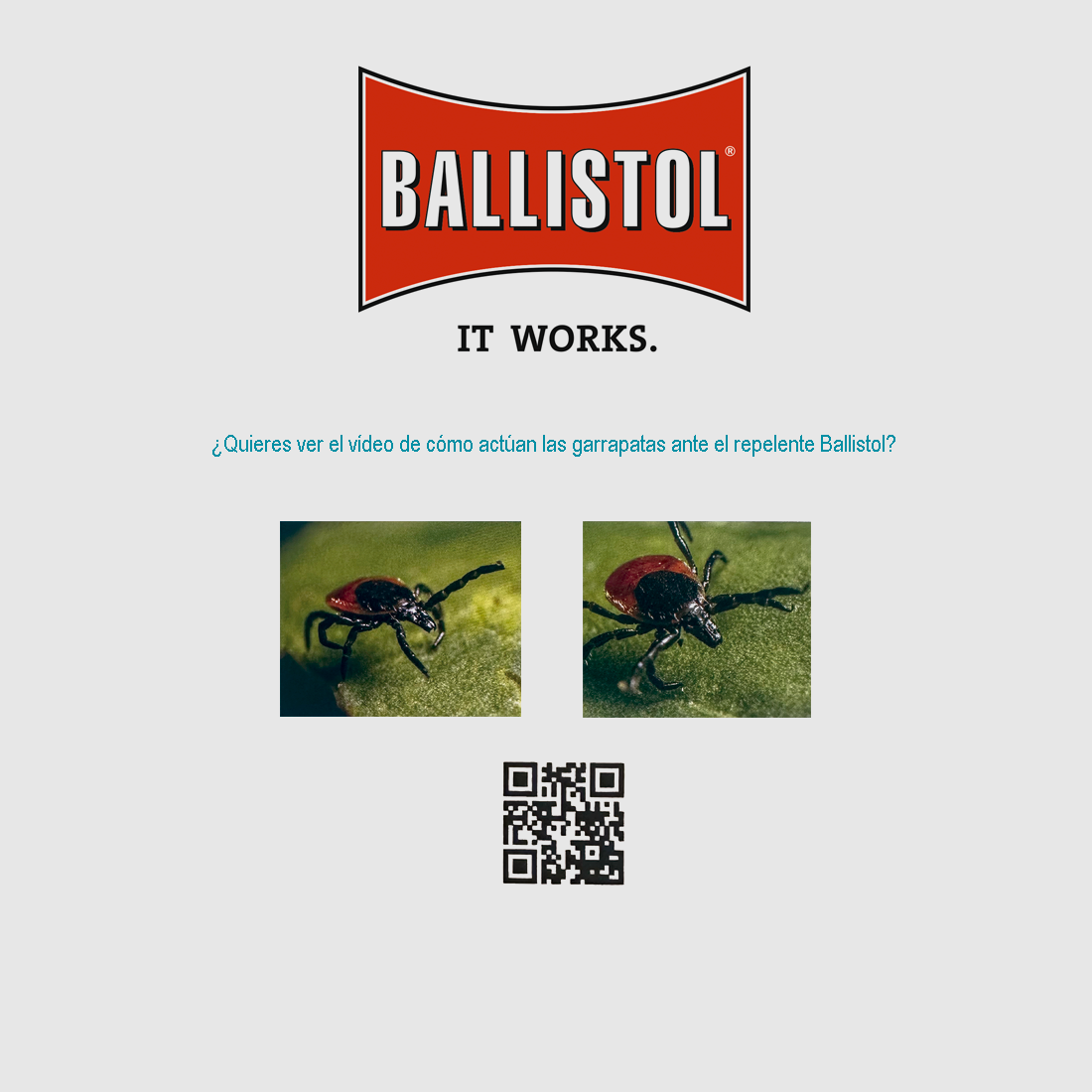 Ballistol MUZIEKREPPELLENT (100ml), afbeelding 3 van 4
