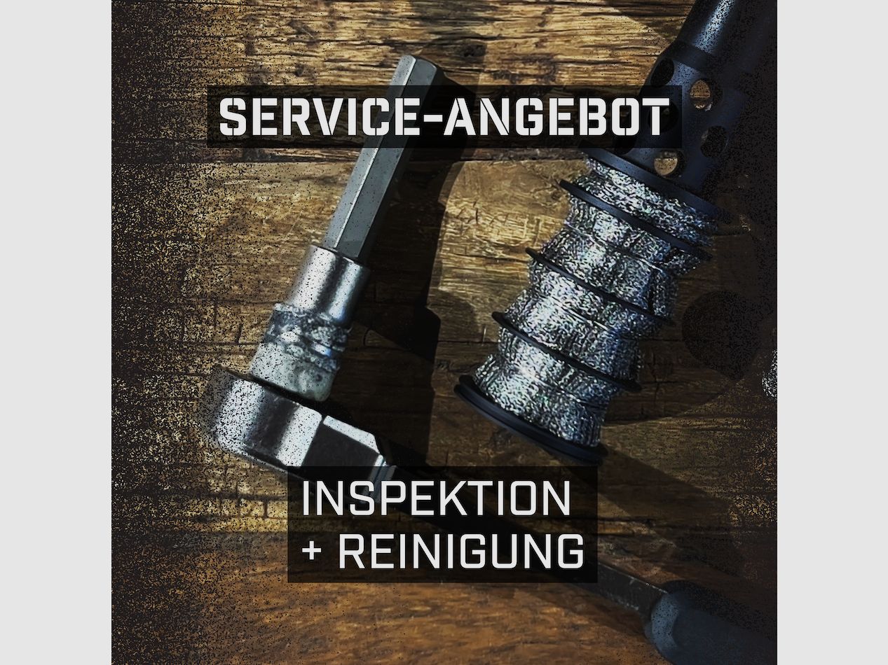 Inspektion & Reinigung für Schalldämpfer