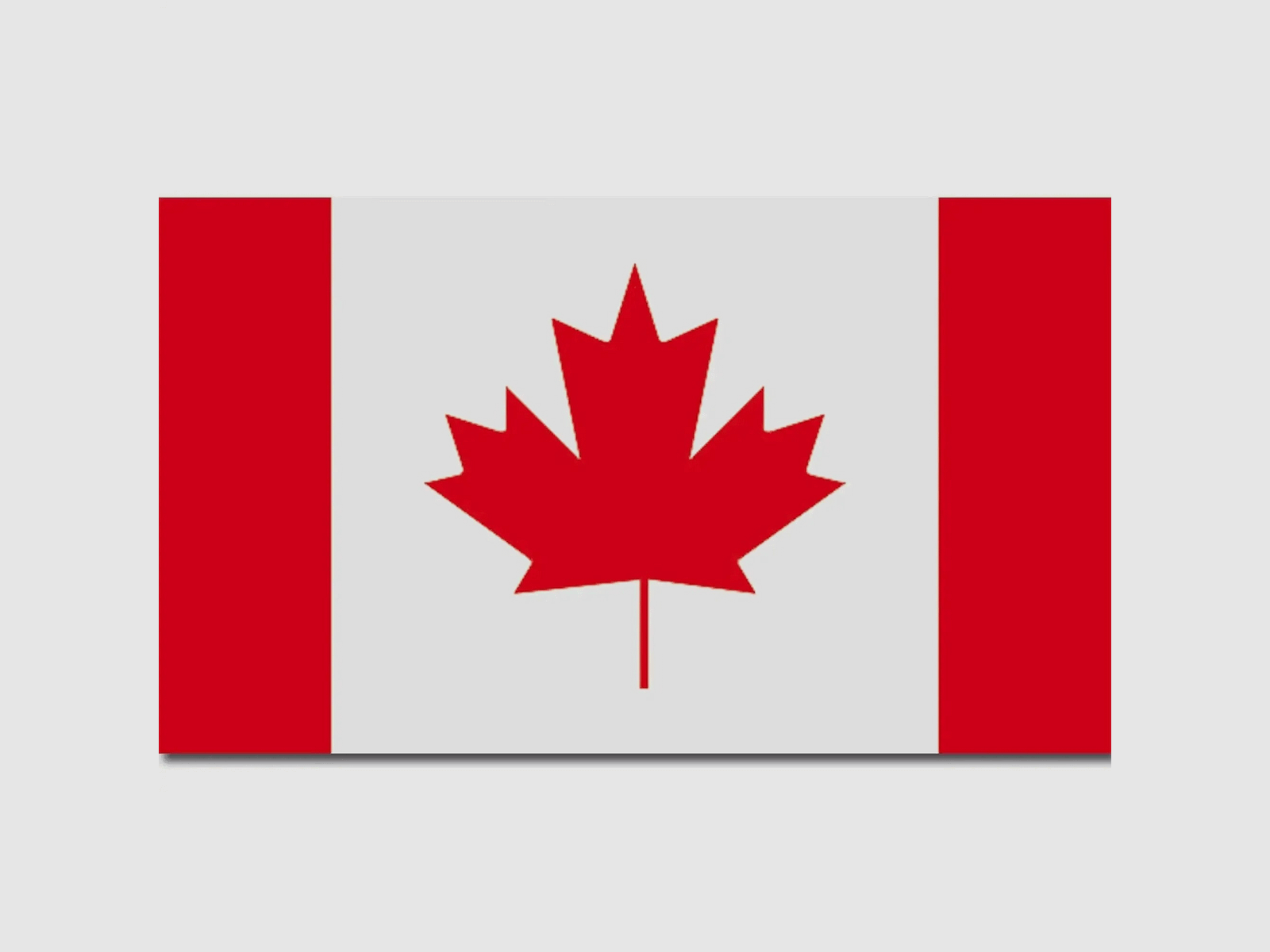 Diverse Mil-Tec Flagge Kanada