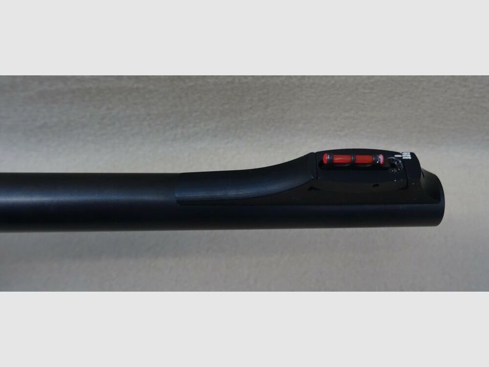 Sauer 303
