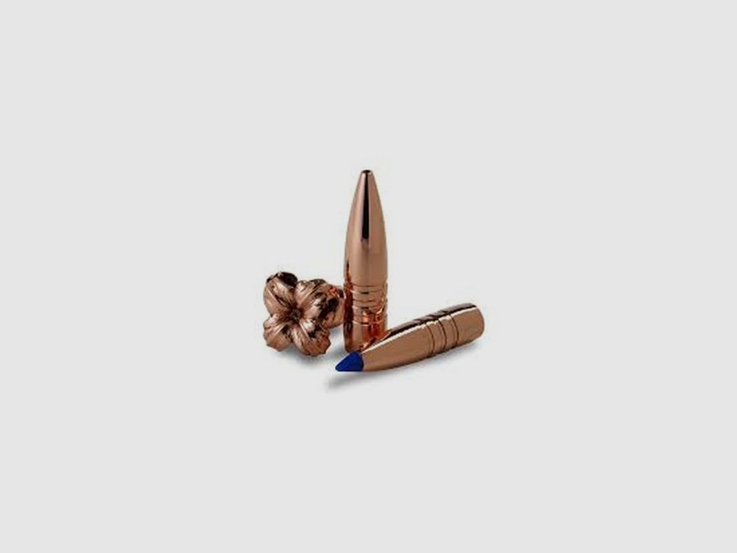 BARNES POCISK TTSX KAL 270 GR 130, zdjęcie 2 z 2