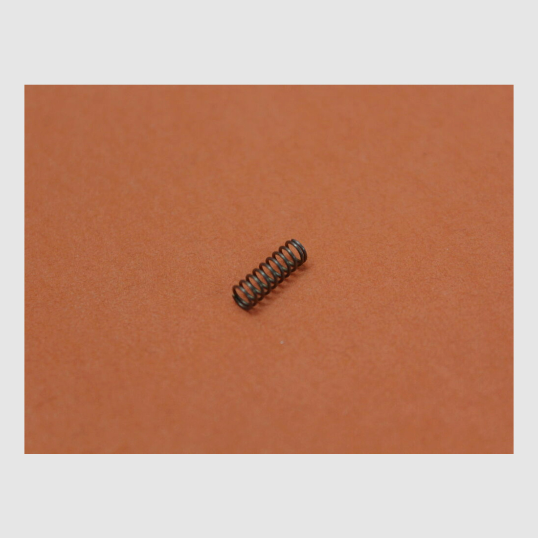 DPMS AR-15: Bolt Catch Spring DPMS (231-000-089) Feder für Verschlussfanghebel
