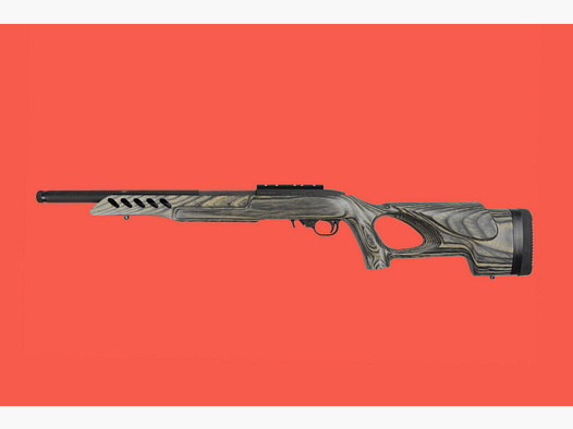 Ruger 10/22 Target