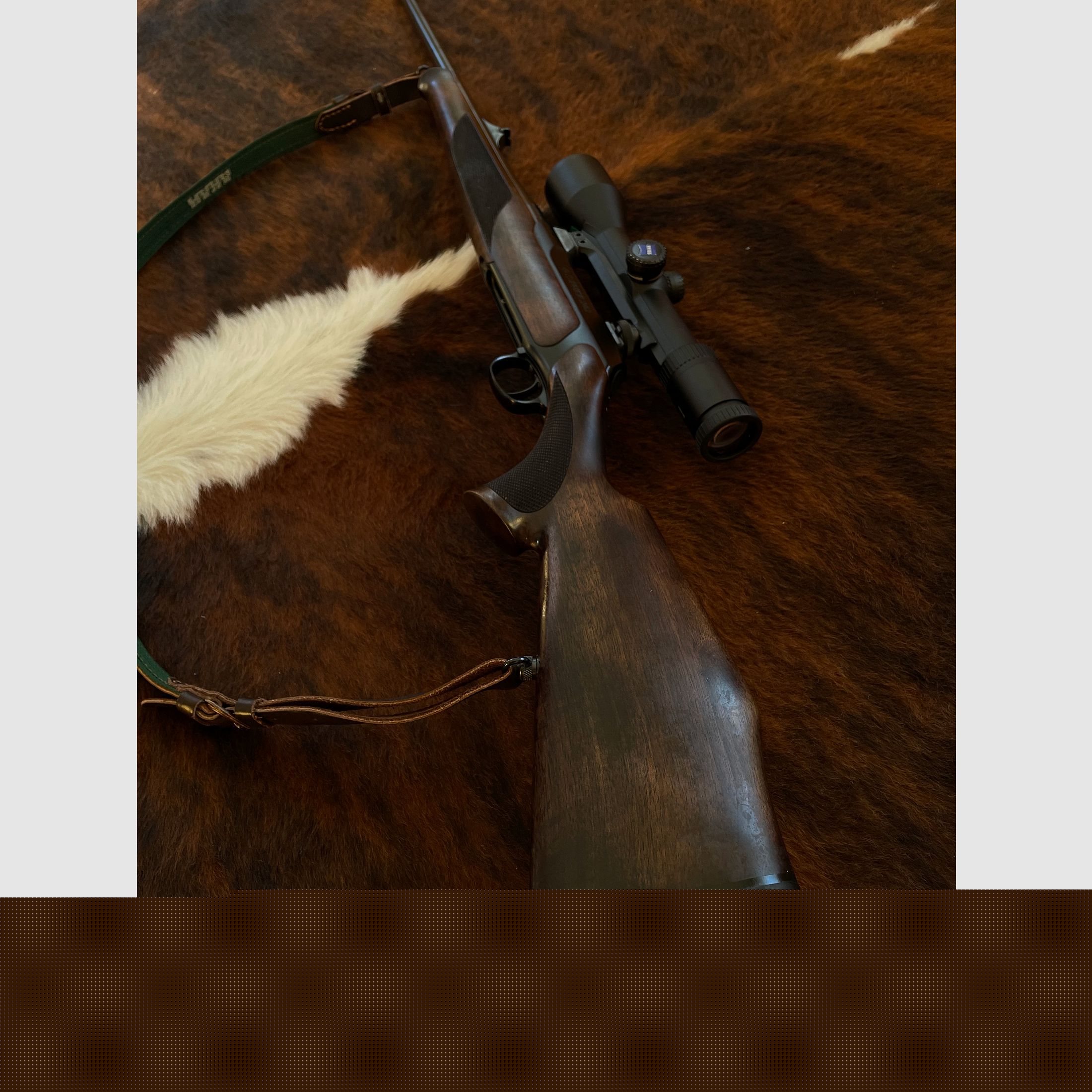 Sauer 202 | Kal. .30-06 | Zeiss Diavari 2,5-10x50 (Leuchtpunkt)