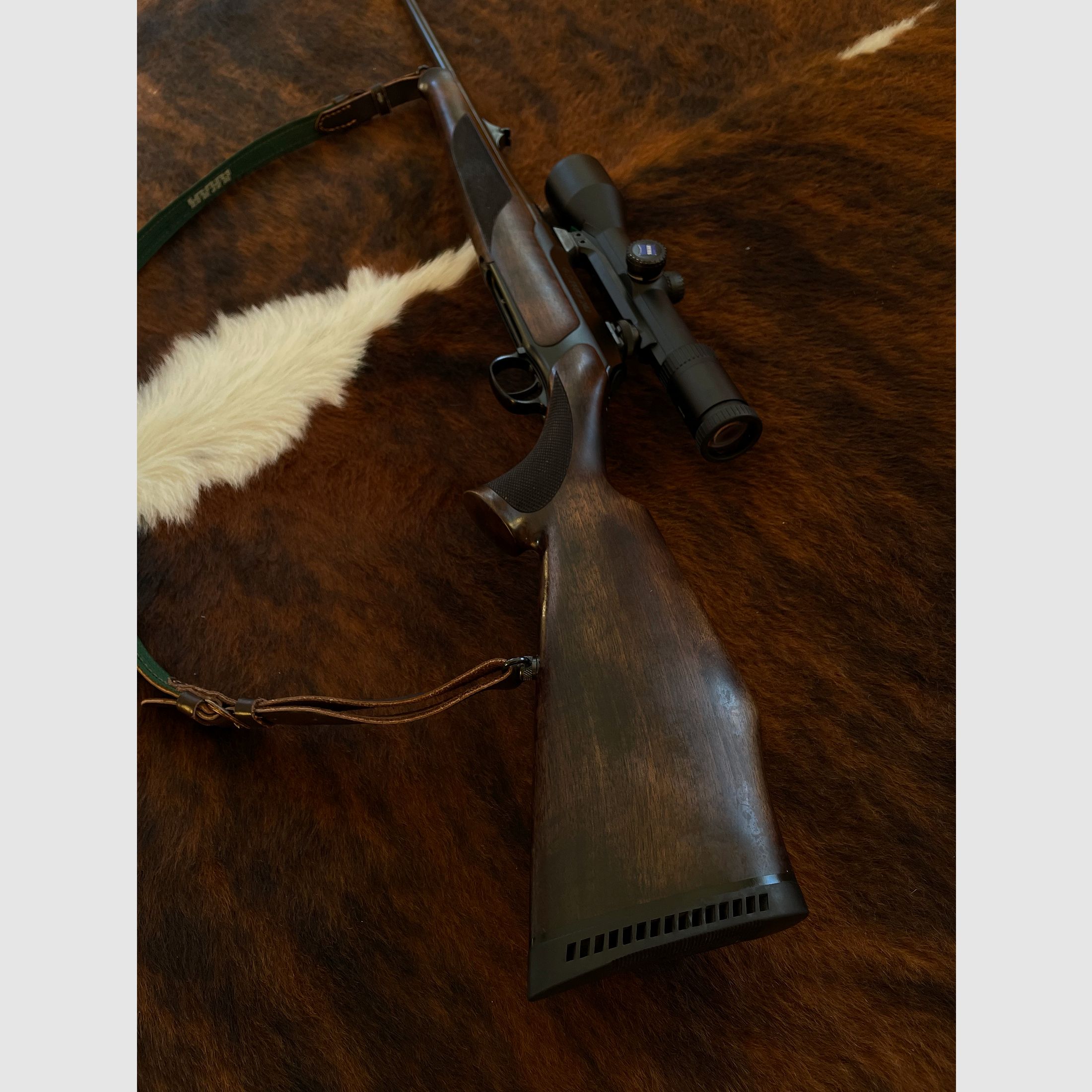 Sauer 202 | Kal. .30-06 | Zeiss Diavari 2,5-10x50 (Leuchtpunkt)