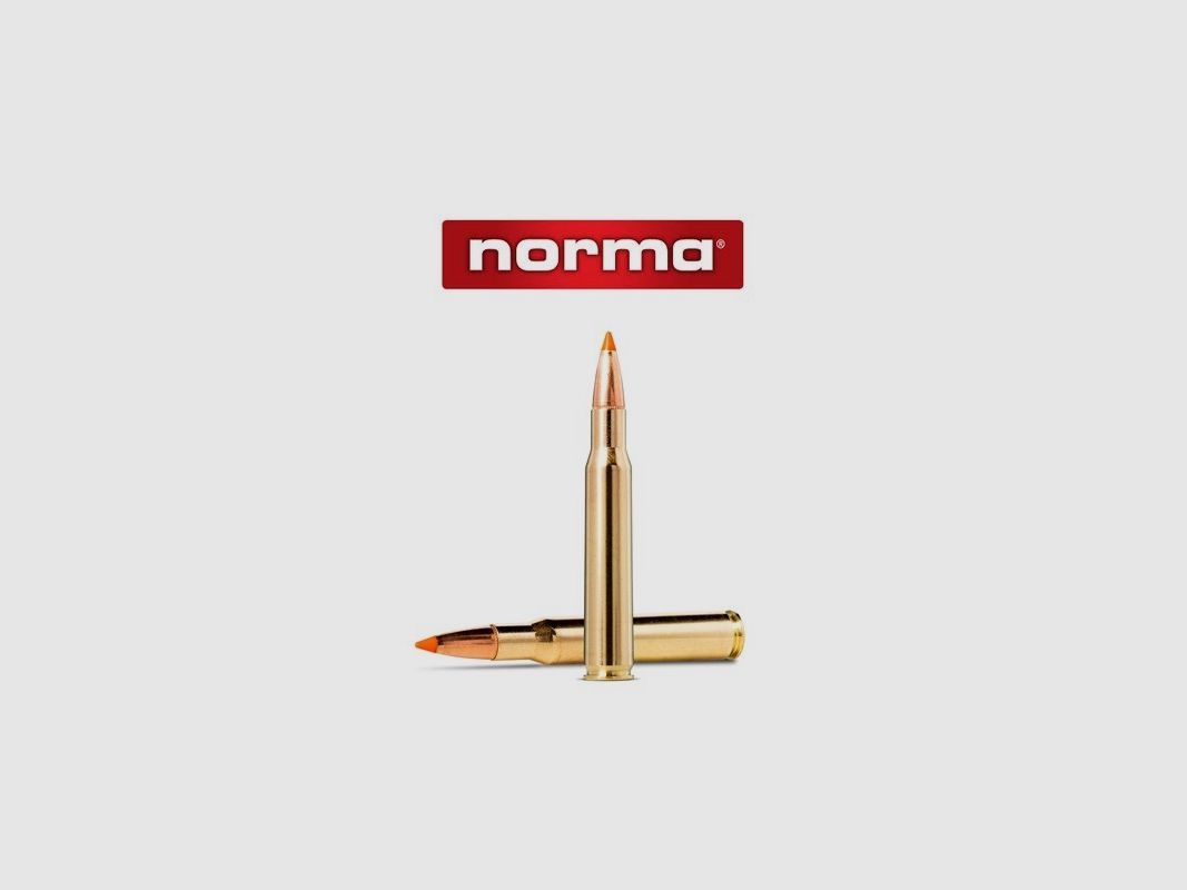 NORMA 30-06 TIP STRIKE 170 GR. amunicja, zdjęcie 4 z 4