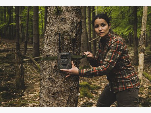 Cinghia per alberi Seissiger per fototrappole