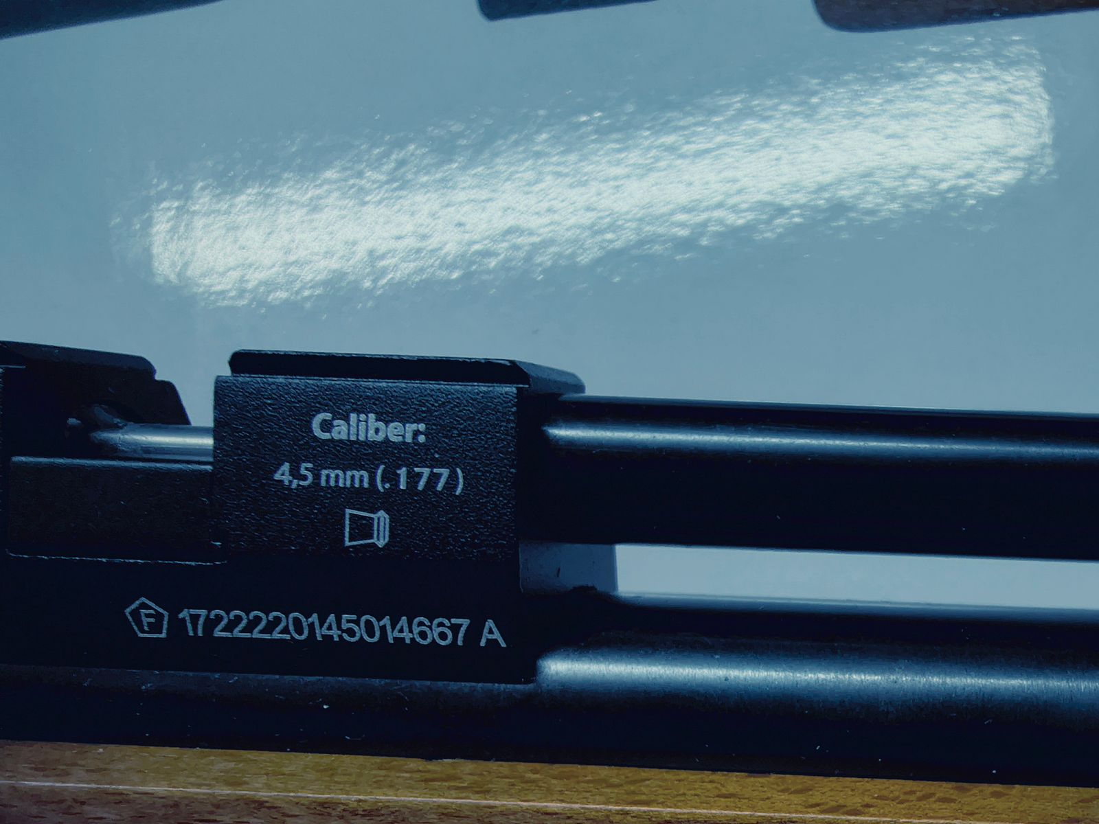 Diana Trailscout Wood Co2-Gewehr 4,5 mm Diabolo