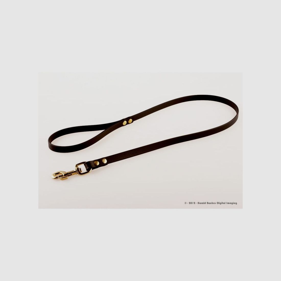 Rüdemeister - Correa de liderazgo 1,2 m Premium BioThane 13 mm