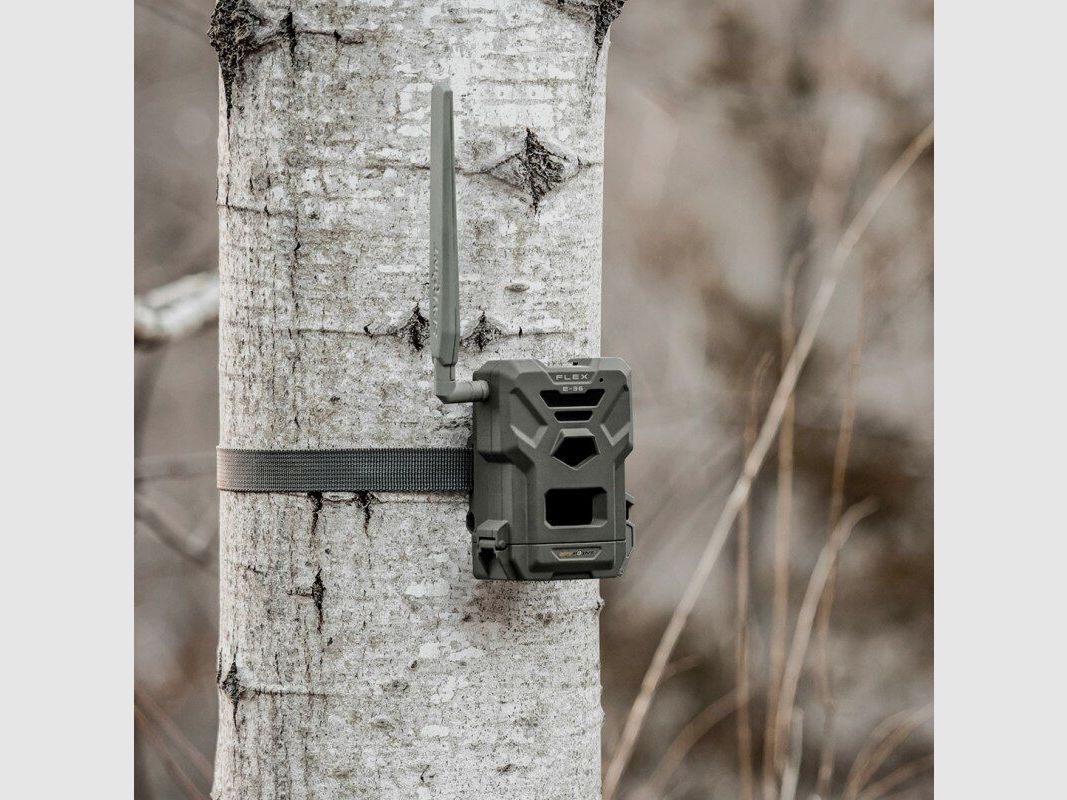 SPYPOINT Wildkamera Flex E-36 Twin-Pack