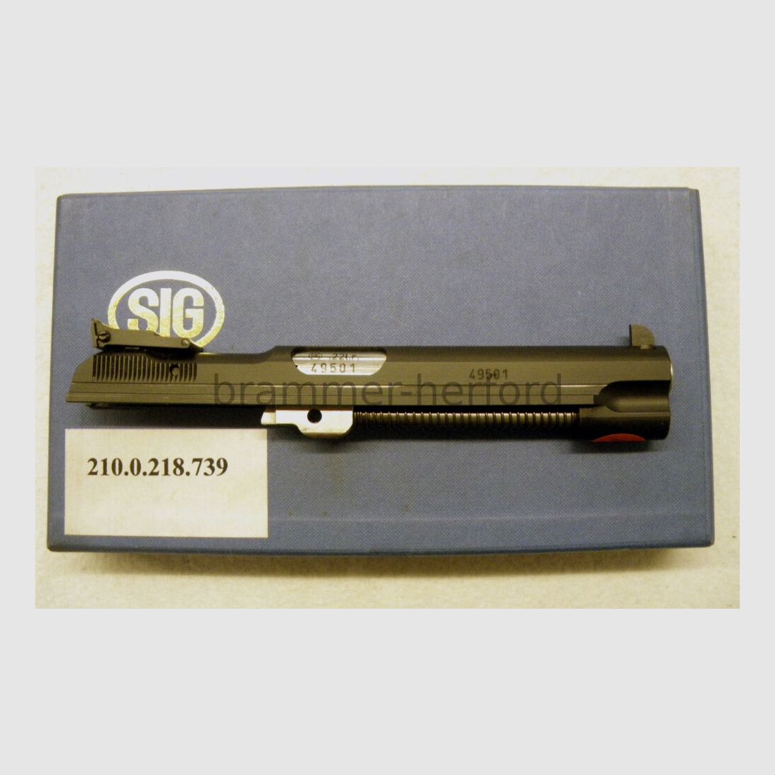 Système interchangeable Sig Hämmerli pour Sig Hämmerli P210