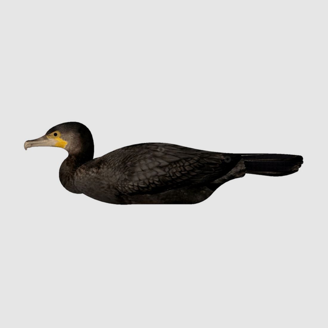 FUD Lockvogel Kormoran, 6 Stück
