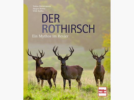 Der Rothirsch: Ein Mythos im Revier