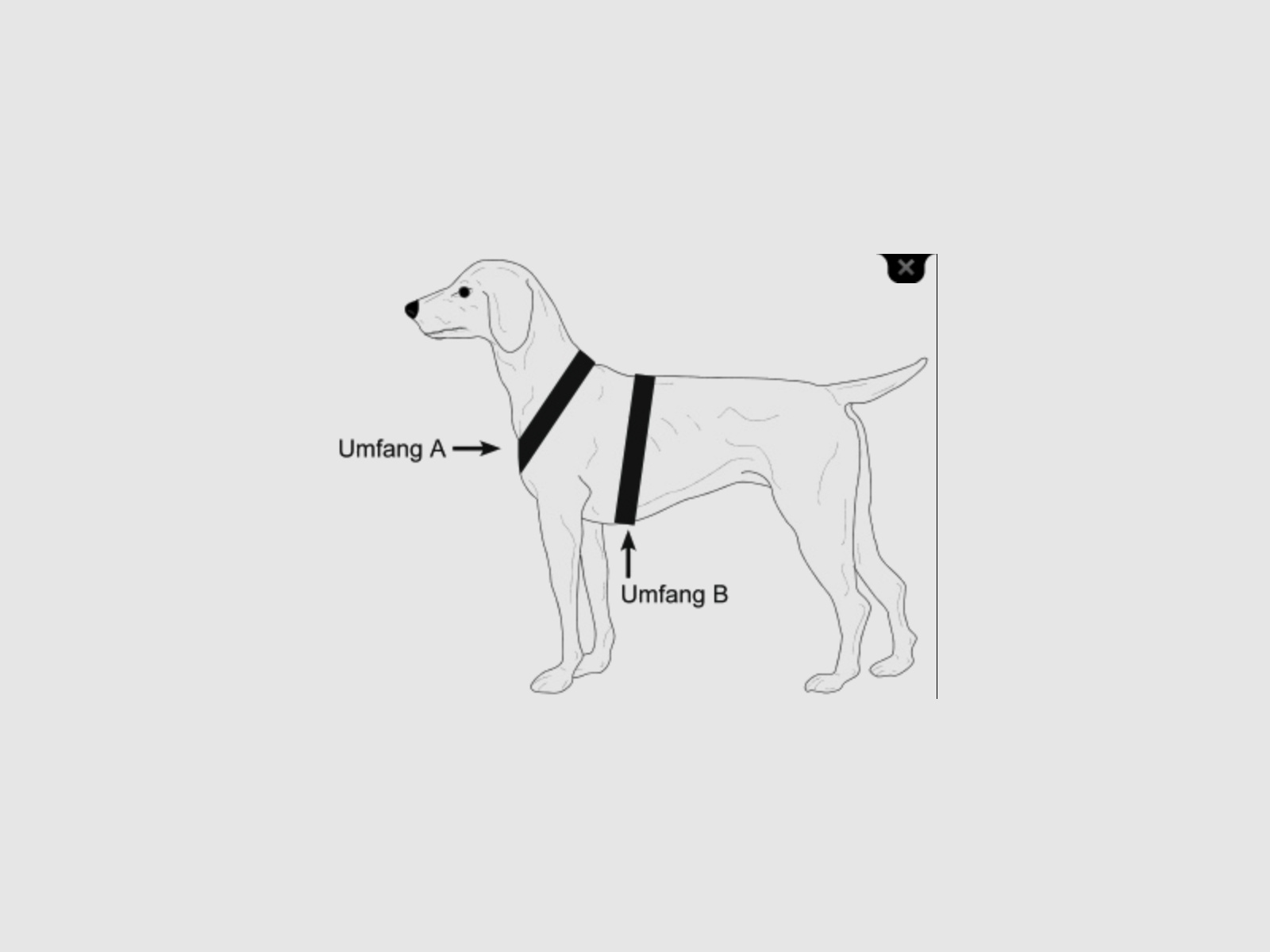 NIGGELOH dog harness Follow Light Brown