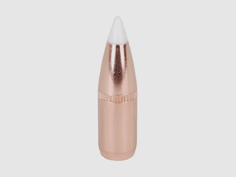 Proiettile Nosler Accubond 6,8mm/.277 100GR Cann 540 Spitzer 50 pezzi
