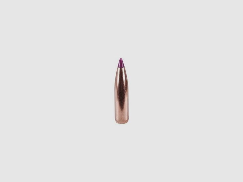 Bullets .243/6mm-095-Spitzer Nosler Ballistic T