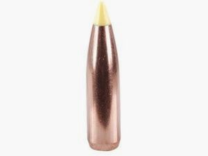 Proiettili cal. 270-150-Spitzer Nosler Ballistic Tip (