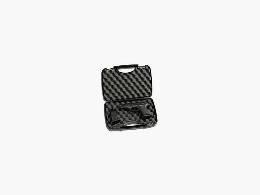 Pistol case