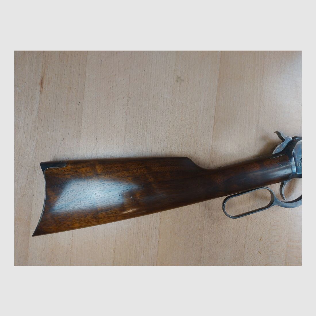 Chiappa M 1892