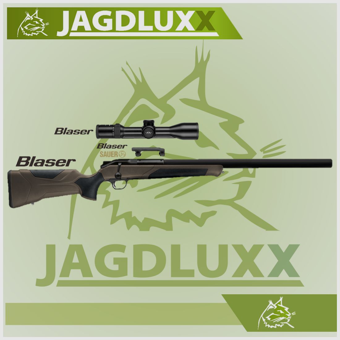 Blaser R8 Professional 2.0 Silence dark-olive in a set with Blaser B2 2-12x50 iC S