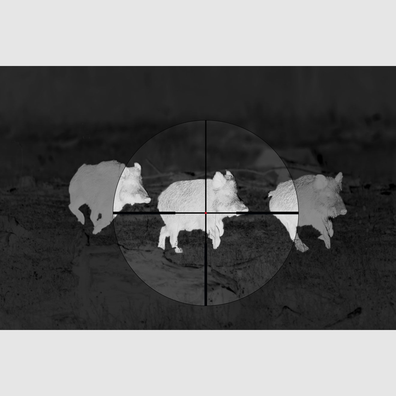 ALPEN OPTICS Apex XP Zieloptik 2.5–16x42 A4 mit SmartDot Technology