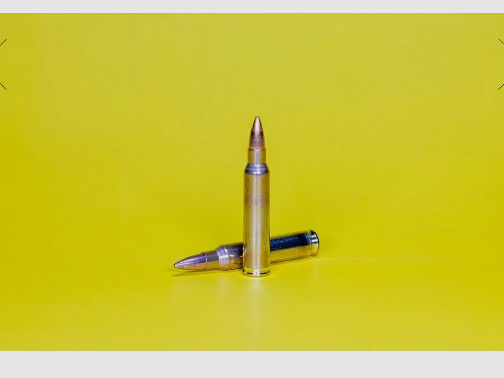 SWISS P .223 Rem. SWISS P DS-1 3.6 g