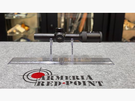 Blaser 1-6×24 IC