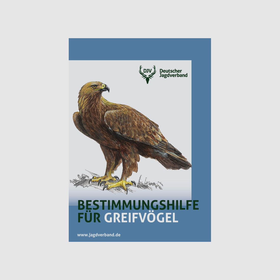 Folleto "Nuestras Aves de Presa"