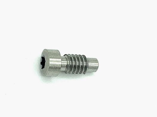 CLUB 30 Tuning/Ersatzteil f. Revolver Schlagfeder-Schraube TORX f. K/L/N/X Rahmen -sts