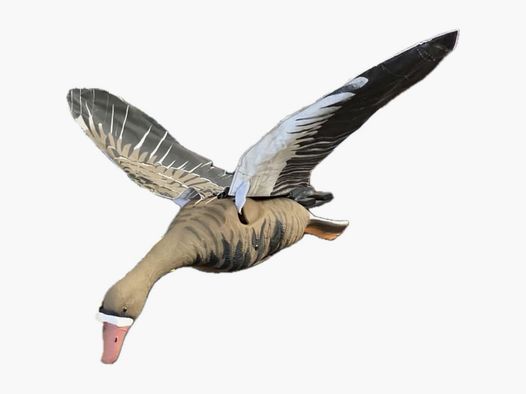 Eendjager Specklebelly Gemotoriseerde Vleugelbeweging - Ultra-realistische Afstandsbediening Gans Lokvogel