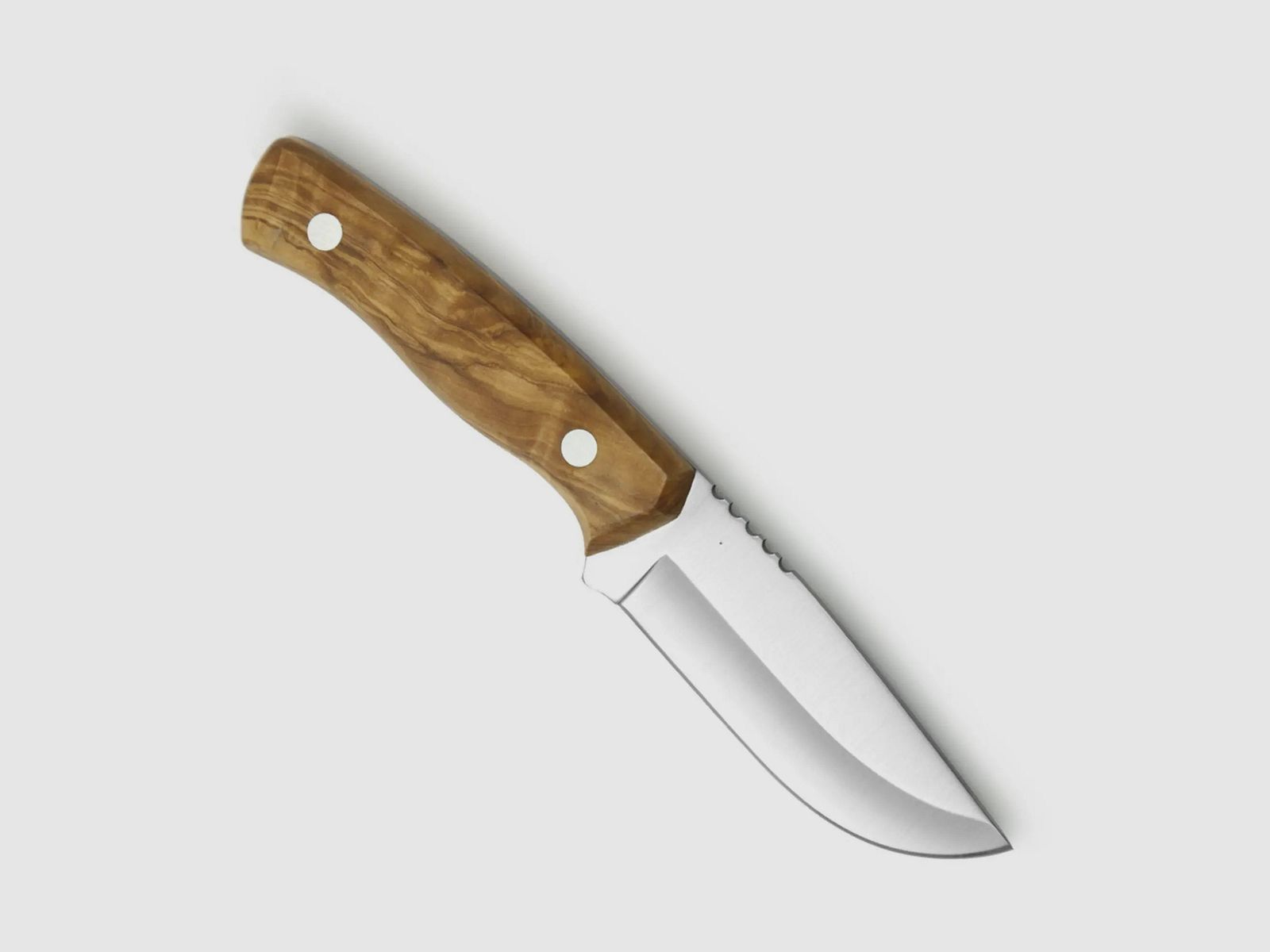 PUMA IP valencia olive