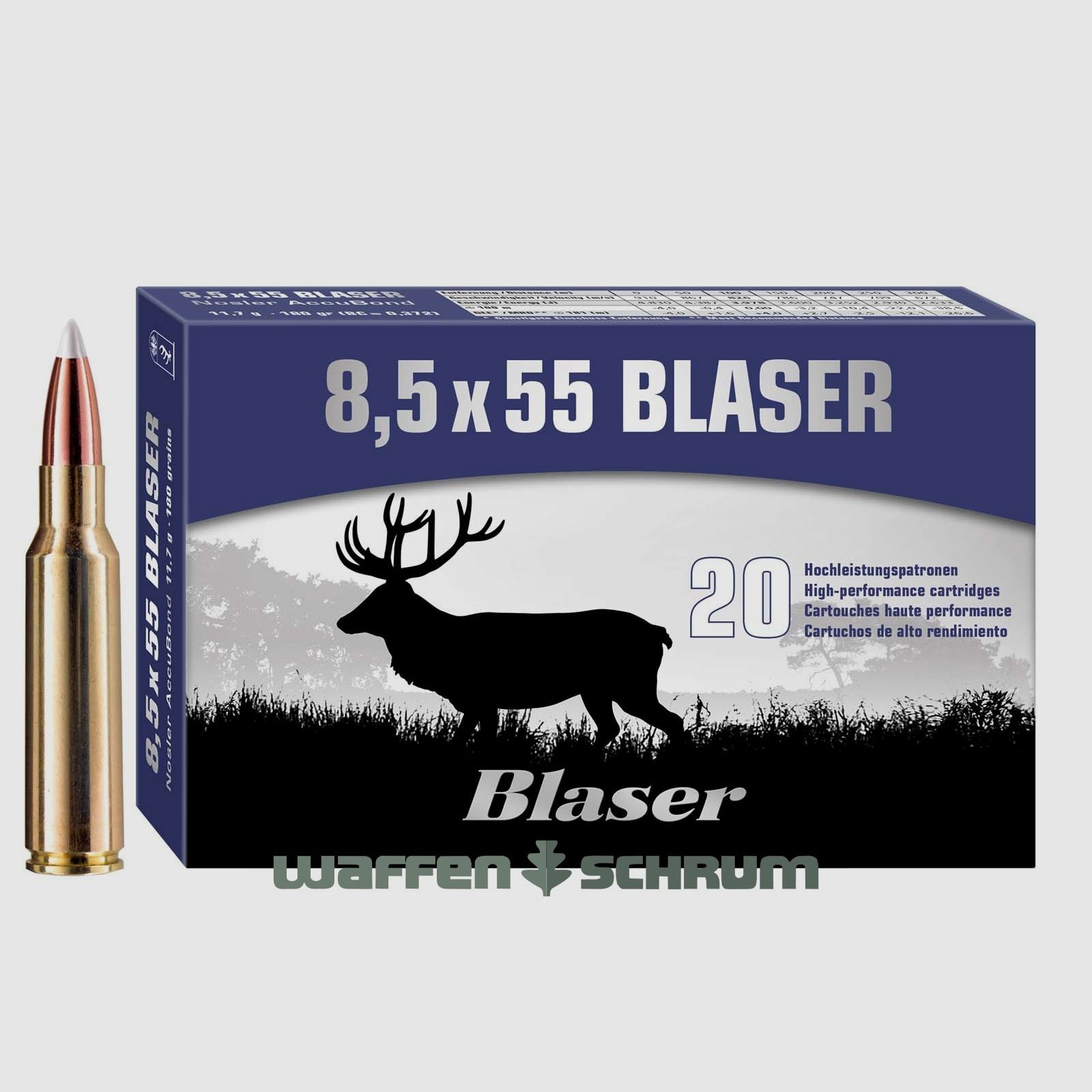 Blaser 8,5x55Blaser Teilmantel 13,6g -210gr
