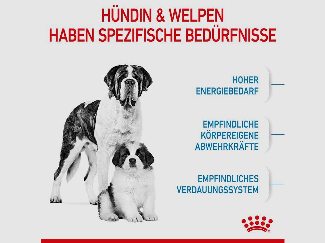 ROYAL CANIN Sehr Große Hunde Trockenfutter Starter Giant tragende Hündin und Welpen 15 Kg