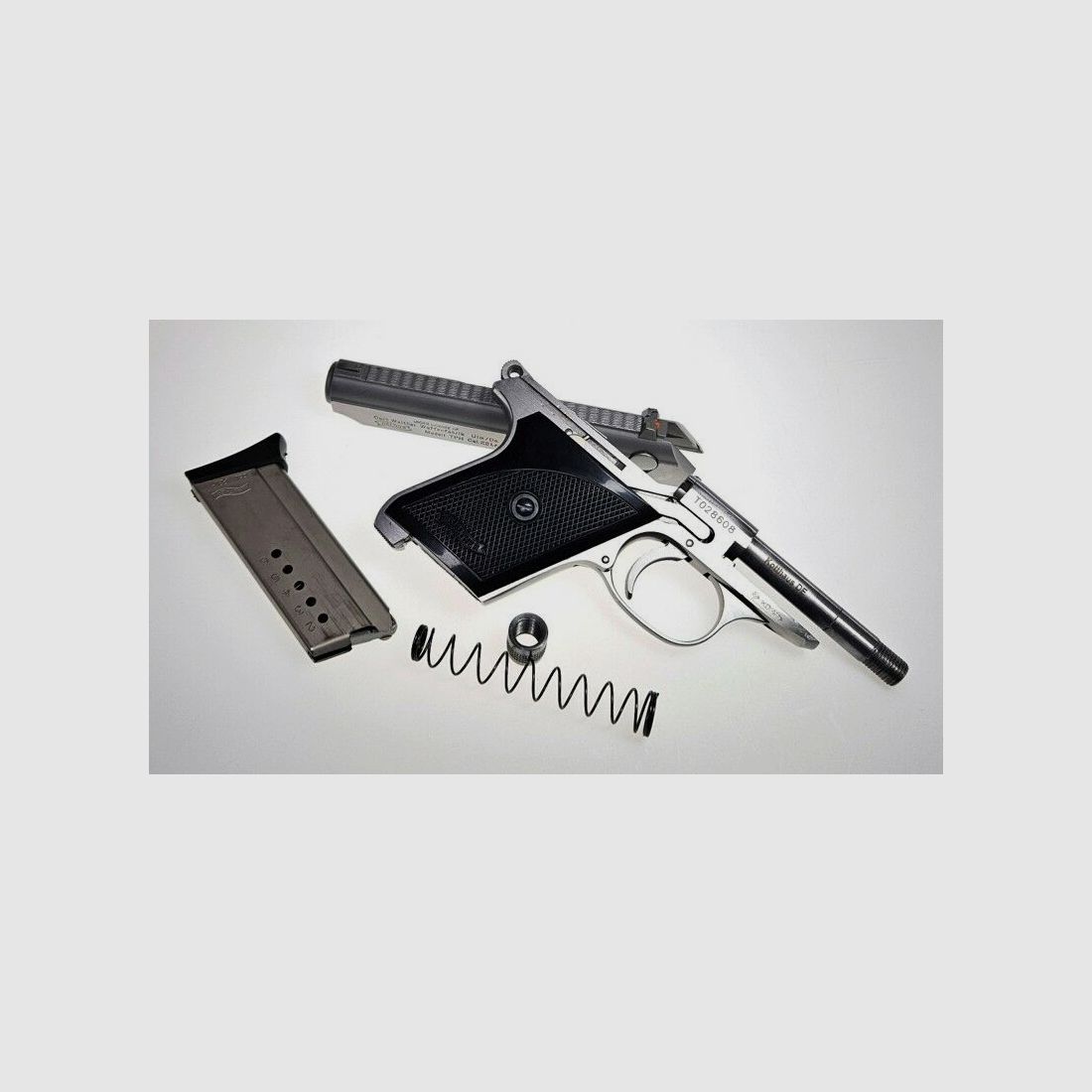 Walther INTERARMS TPH (stainless) mit Schalldämpfer