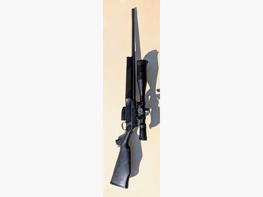 Sauer 202
