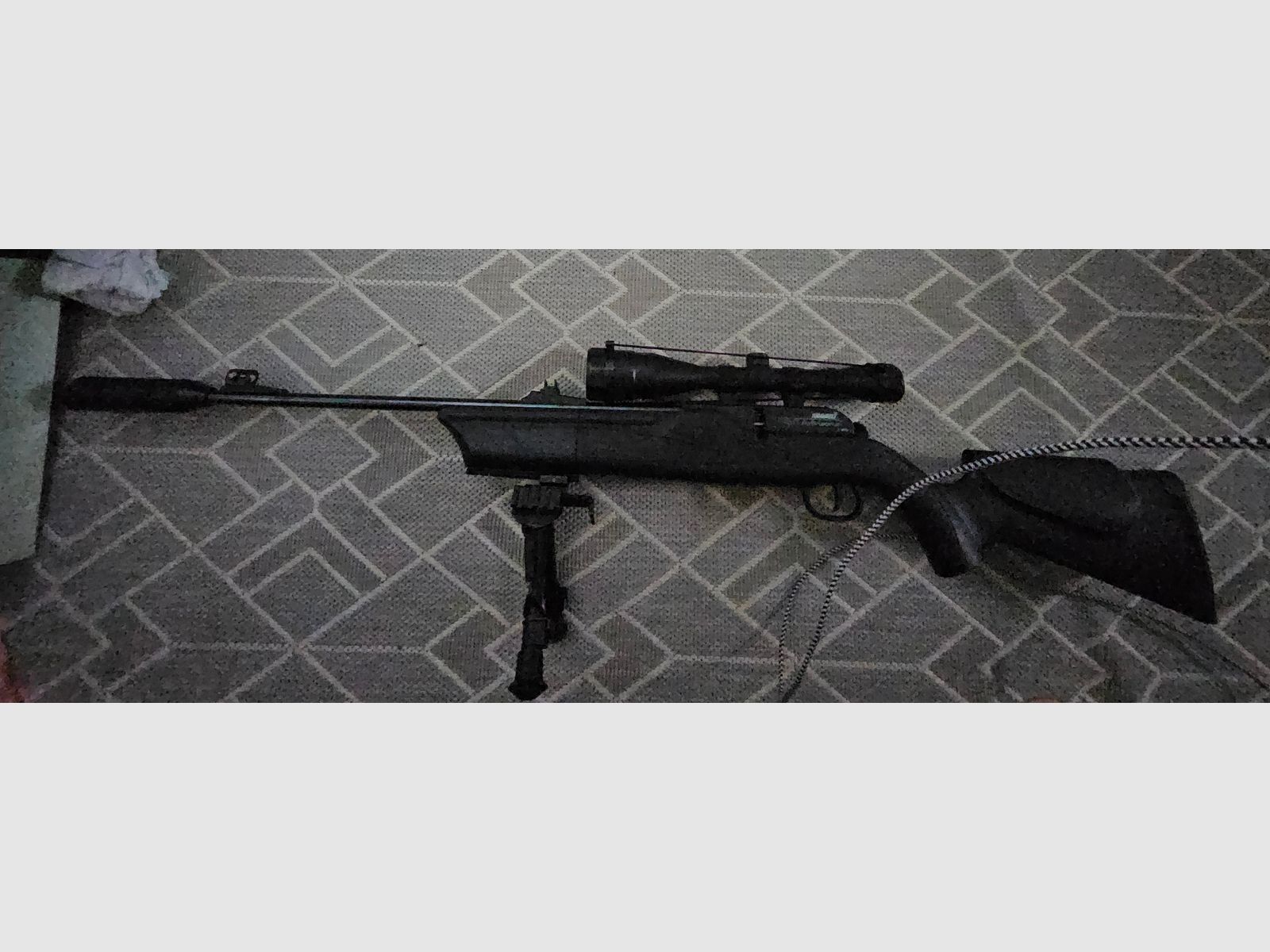 Co 2 Gewehr voll ausgestattet