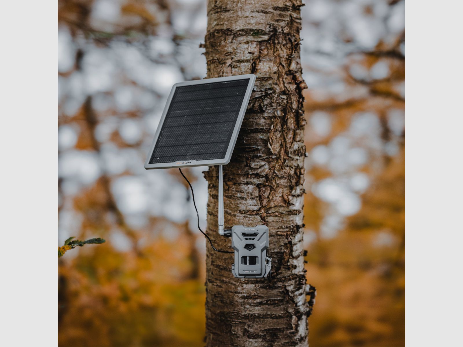 SPYPOINT FLEX-M & SOLAR-22 Bundle/ UN3481/188