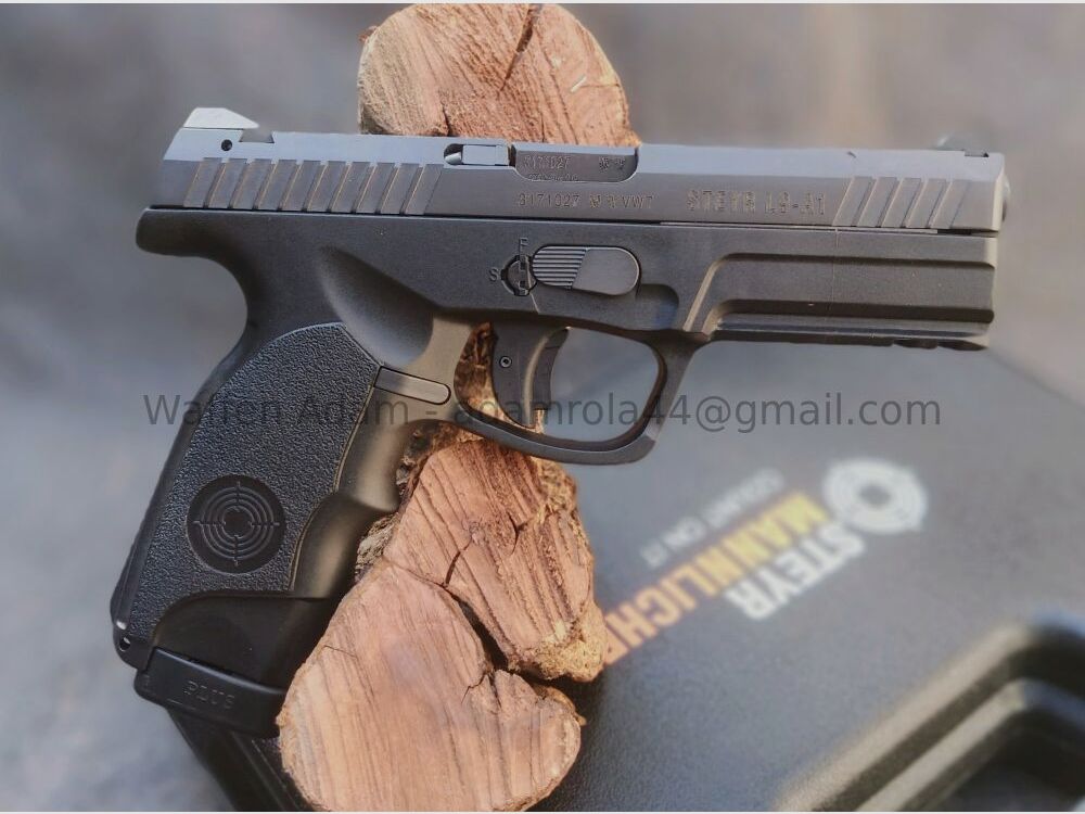 Steyr Mannlicher L9-A1