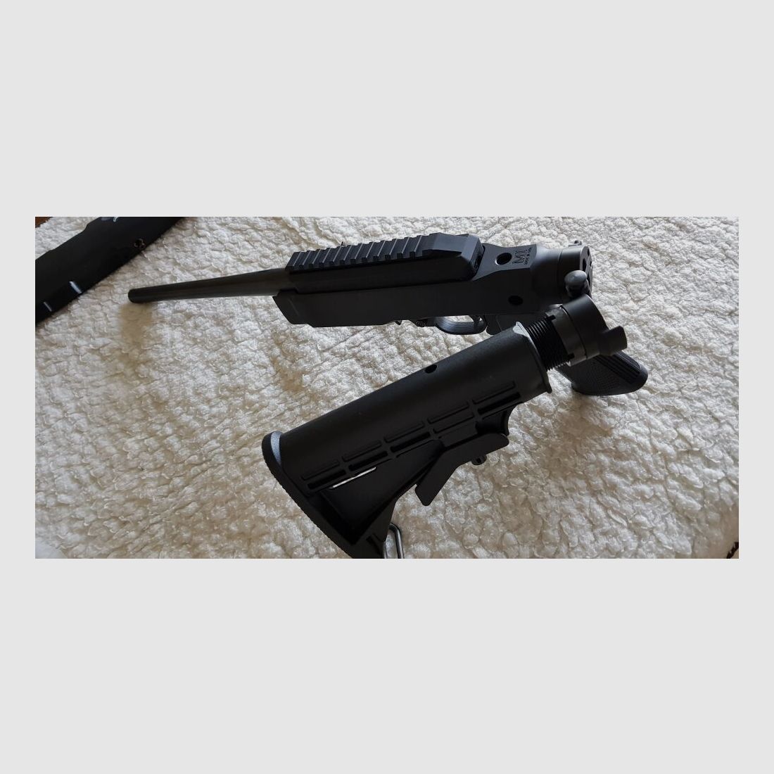 Ruger Charger 22