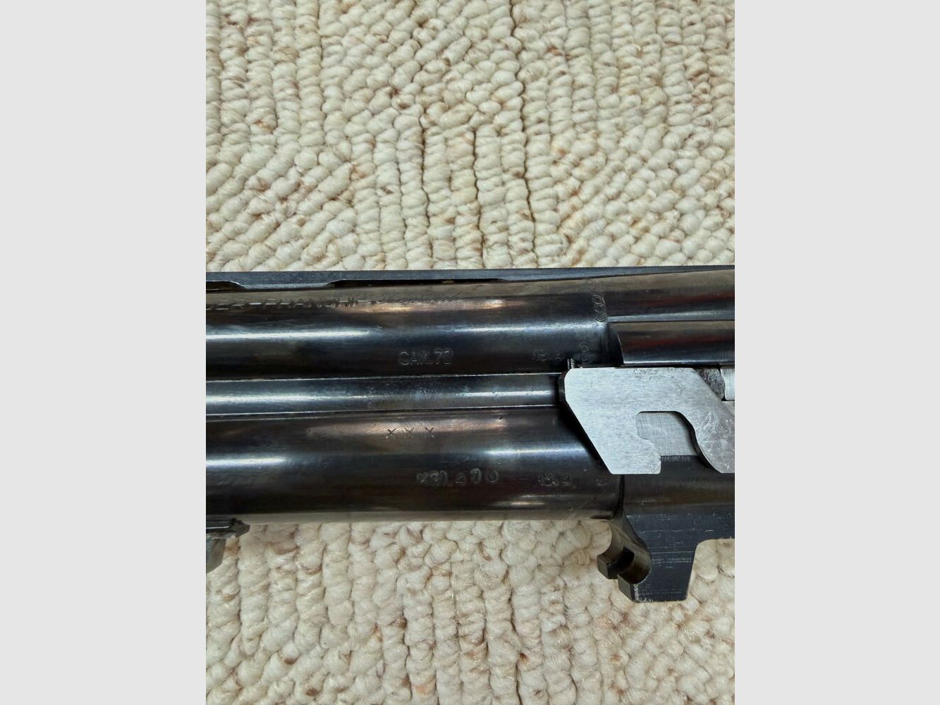 Sauer Franchi