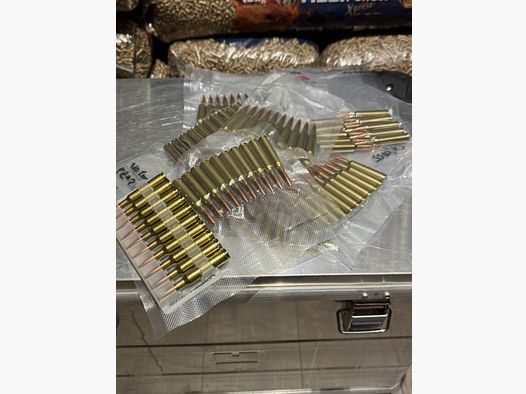 Sellier & Bellot Standard 6,5x55 SE FMJ 140 grs. 129 Schuß