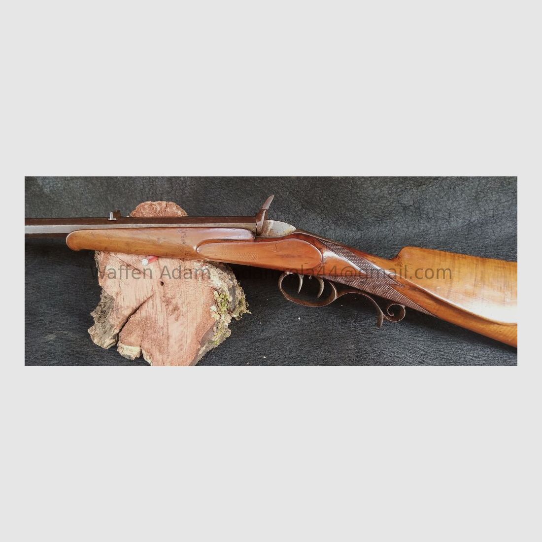 Teschin / Warnant Teschin Flobert gezogen